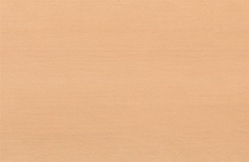 Kraftwerk 191505001 2